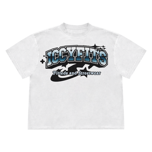 ICCYFITS Stary Heavyweight T-Shirt